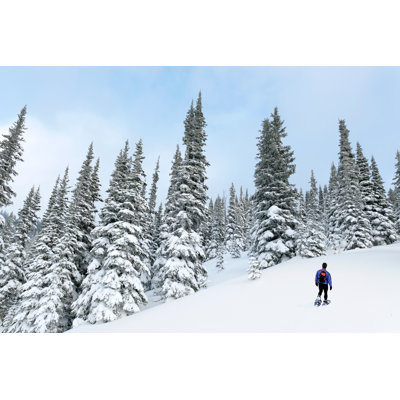 Man Snowshoeing by Sharply_Done