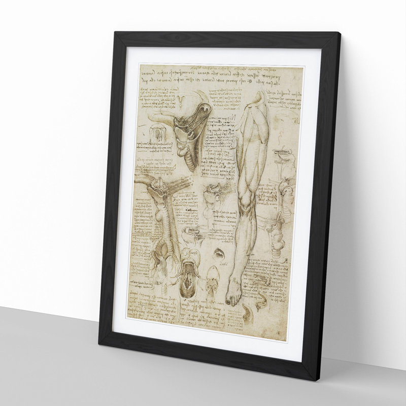 Human Anatomy Vol.7 by Leonardo Da Vinci - Framed Print, Black Framed, 36cm H x 27cm W x 2cm D