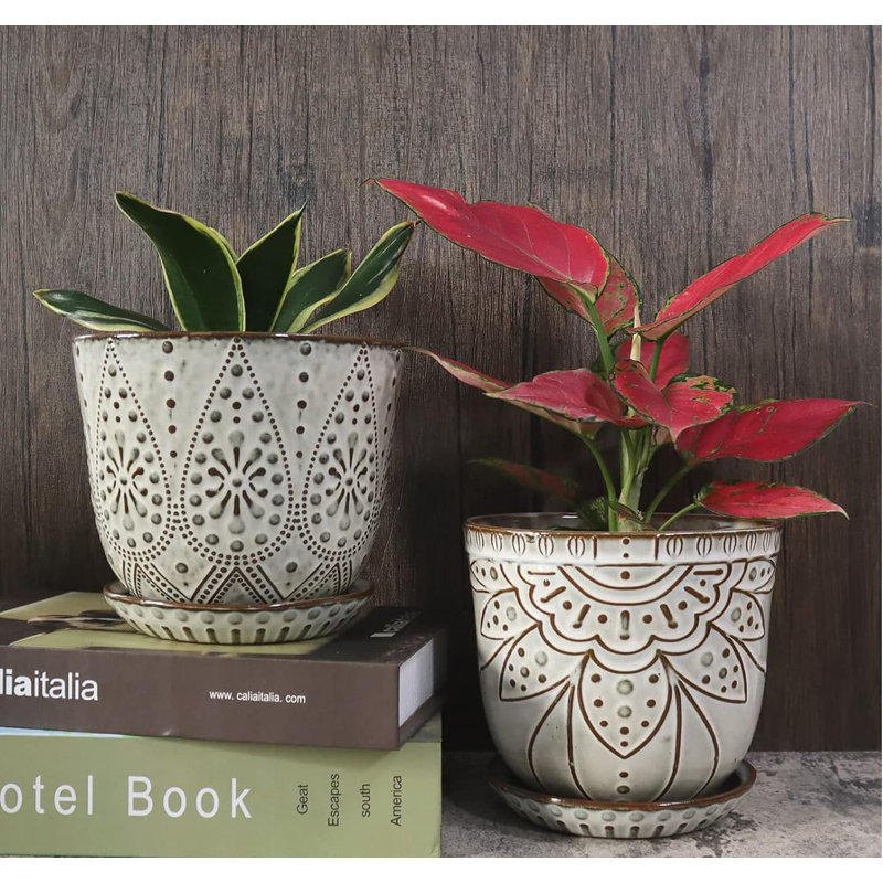 Ceramic Pot Planter