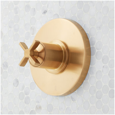 Vassor Pressure Balance Shower Trim and Rough-In Valve - Brushed Gold