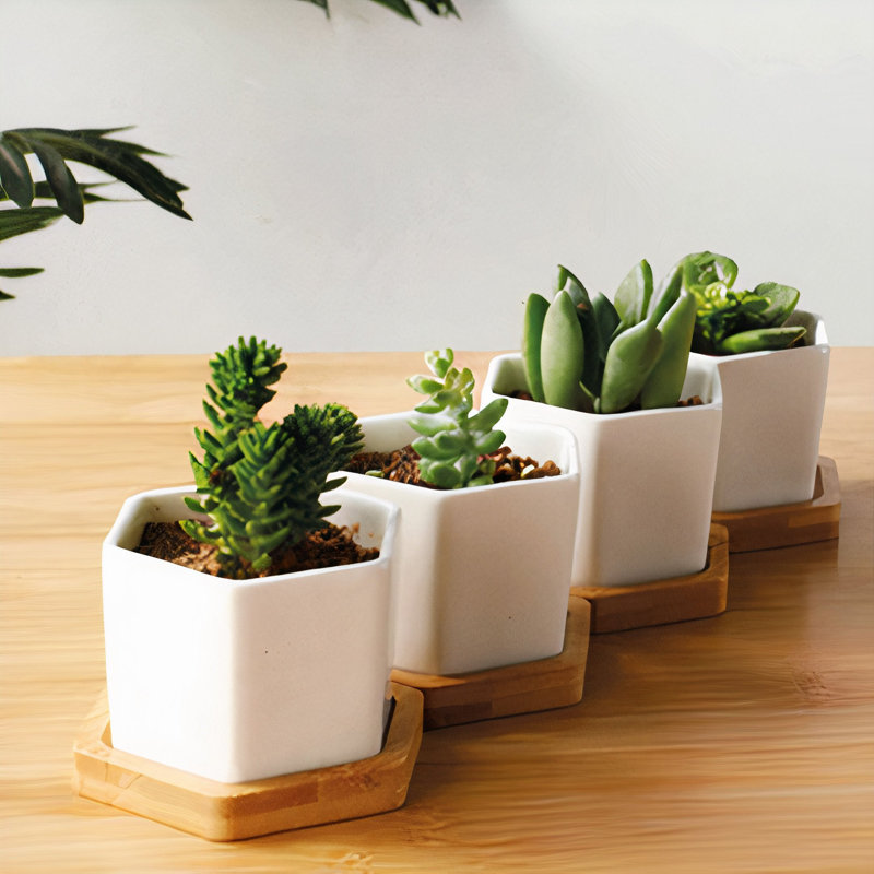 Sarah-Lou Pot Planter