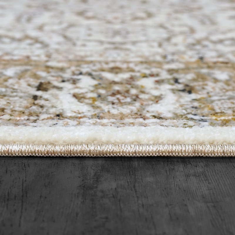 Oriental Indoor Rug, Rectangle 9' x 12'
