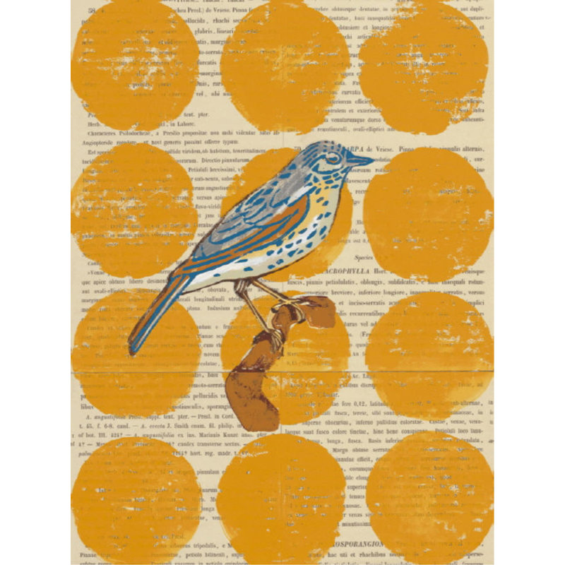 Bird Study I Print by Meredith Macleod, Glass Coat, 32" H x 24" W