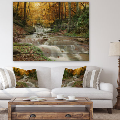 Forest Waterfall, Yellow Trees - Photograph Print