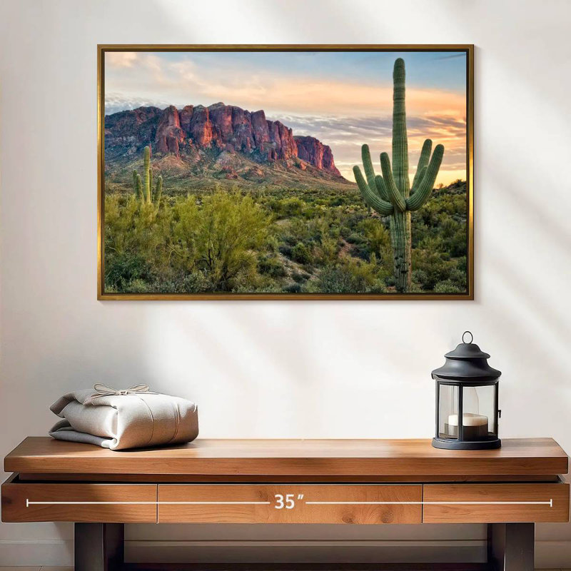 Cactus View II, Cadre flottant doré, 25 po x 17 po