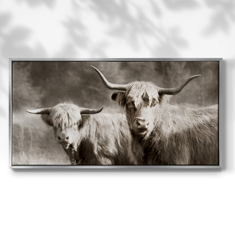 Sépia poilu Highland - Toile tendue avec châssis encadré - Prêt à être accroché, H 25 po x l 49 po, Argent argent