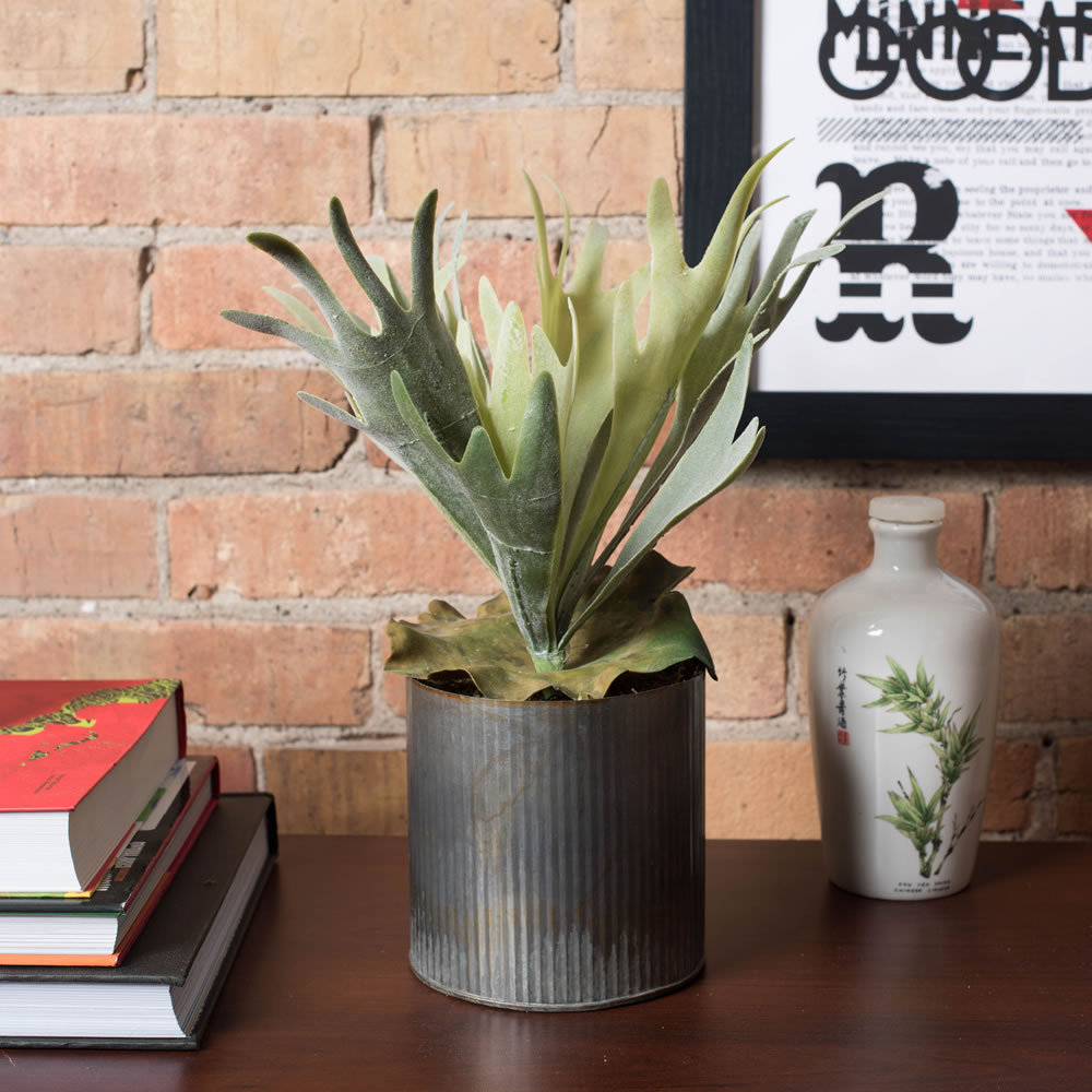 13'' Faux Fern Plant Primrue