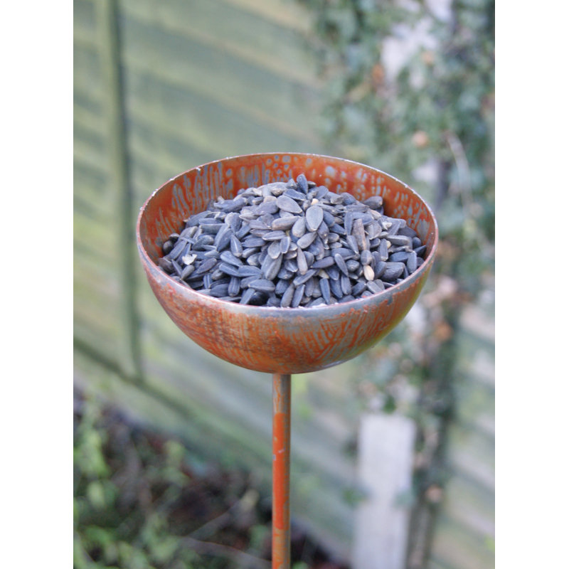 Koschwanez Decorative Bird Feeder