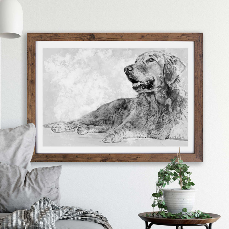 Golden Retriever in Abstract - Framed Print, Walnut, 33cm H x 45cm W x 2cm D