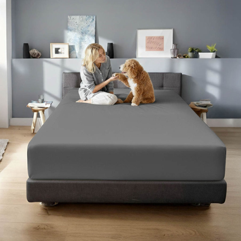Ensemble de draps en coton égyptien 650 fils, Gris, Ensemble de draps pour très grand lit avec 2 taie