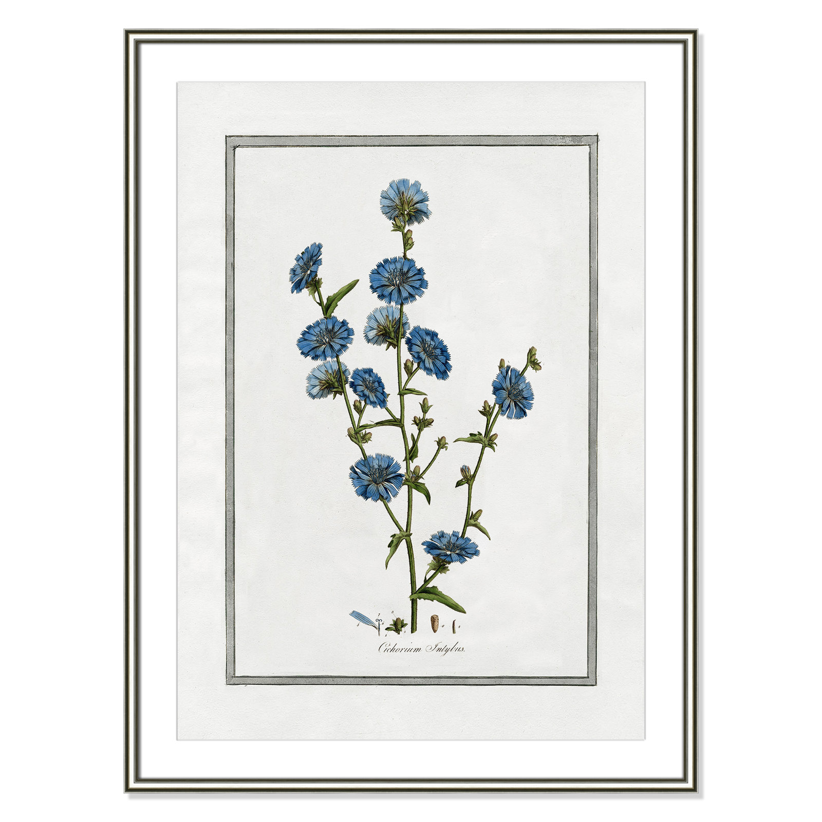 Colombe "Soft Botanical I" Print, 26.75" W x 36.75" H, Silver Framed