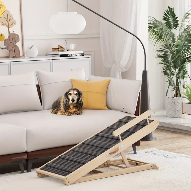 Rampe pour chien Potable