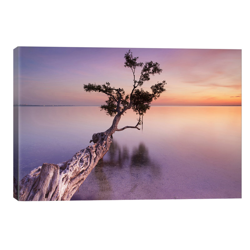 Water Tree XI by Moises Levy - Wrapped Canvas Print, 66.04 cm H x 45.72 cm W x 1.91 cm D
