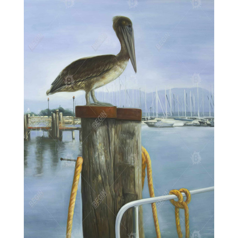 «Pelican» sur