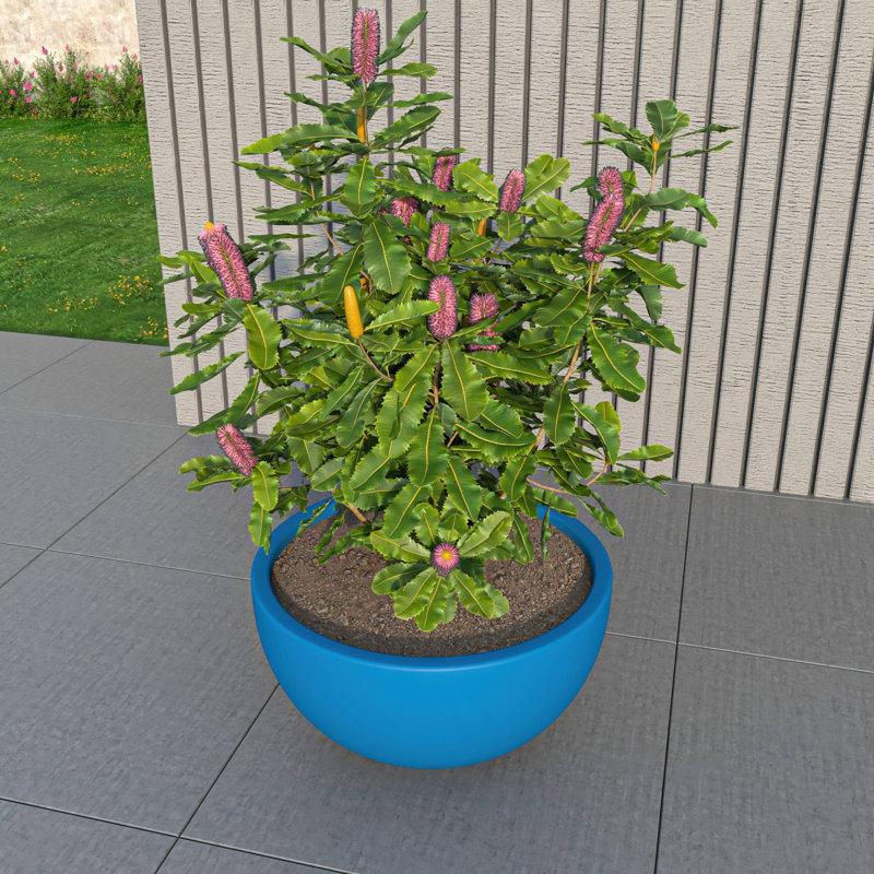 Pot à fleurs en argile TGO fabriqué à la main en forme de bol en Terstonna avec trous de drainage pour l'intérieur et l'extérieur