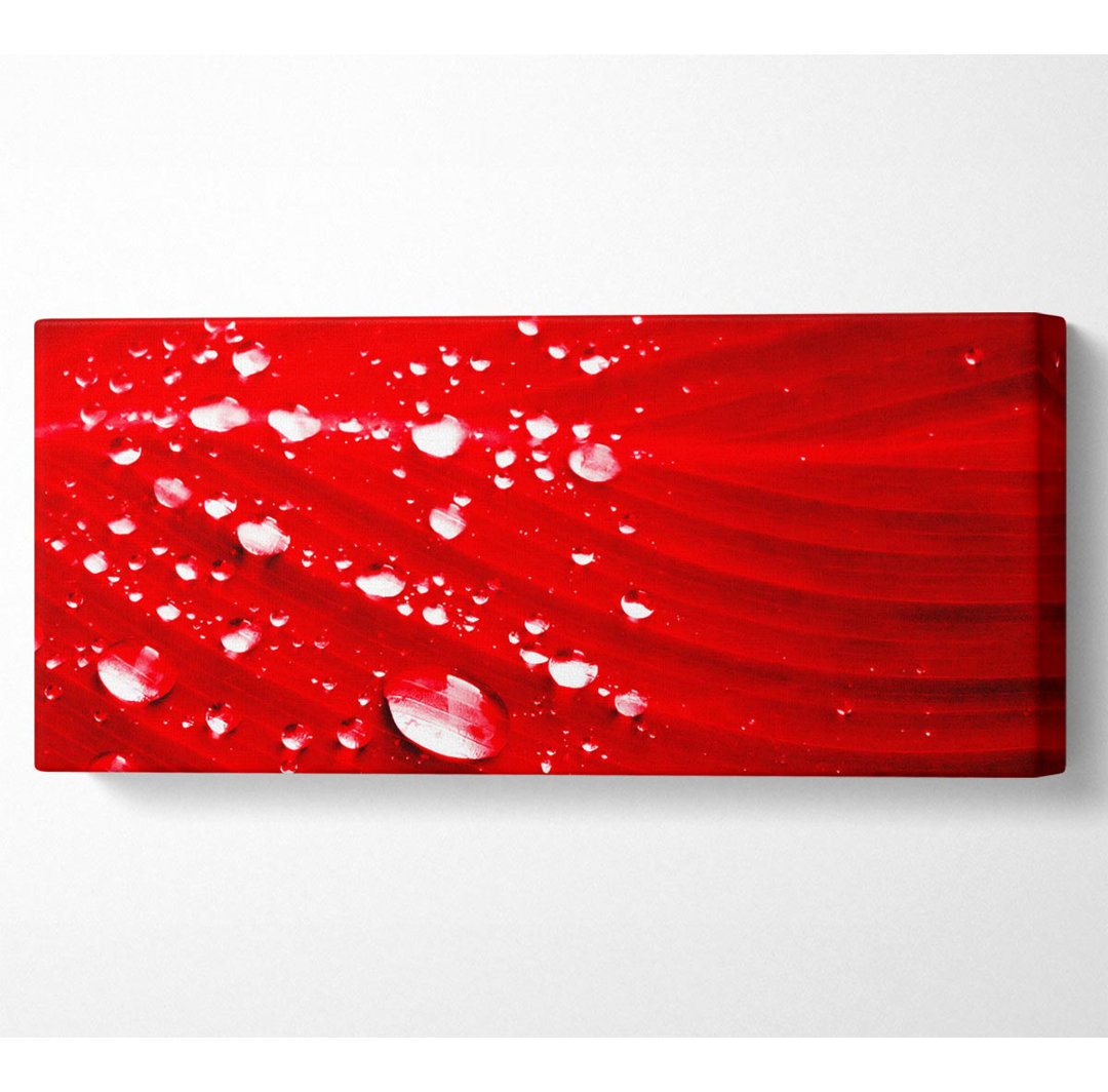 Rote Wassertropfen Panoramaleinwand