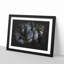 Plant Leaves - Picture Frame Graphic Art Print-56862062-56862065