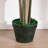 Faux Boxwood Topiary in Pot