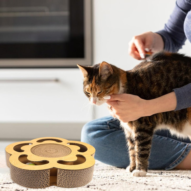 Flower Shape Scratcher Cat Toy With Ball Track Ball