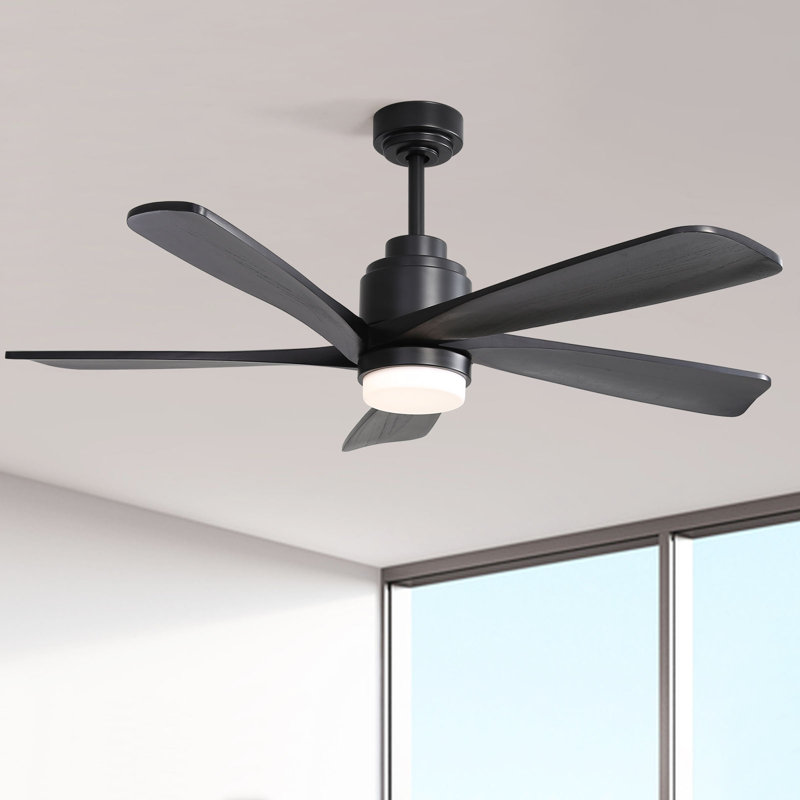 Ventilateur de plafond moderne à 5 pales avec lumière DEL et télécommande Sofucor, Noir avec pales noires