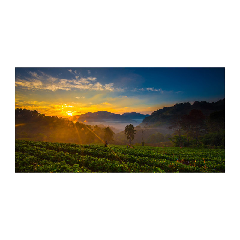 Tea Plantation - No Frame Print on Canvas, No Frame, 50cm H x 100cm W