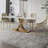 Pinchas-80398107