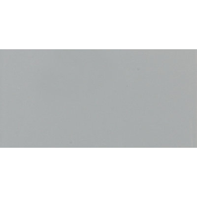 6'' L x 2'' W Tile Trim