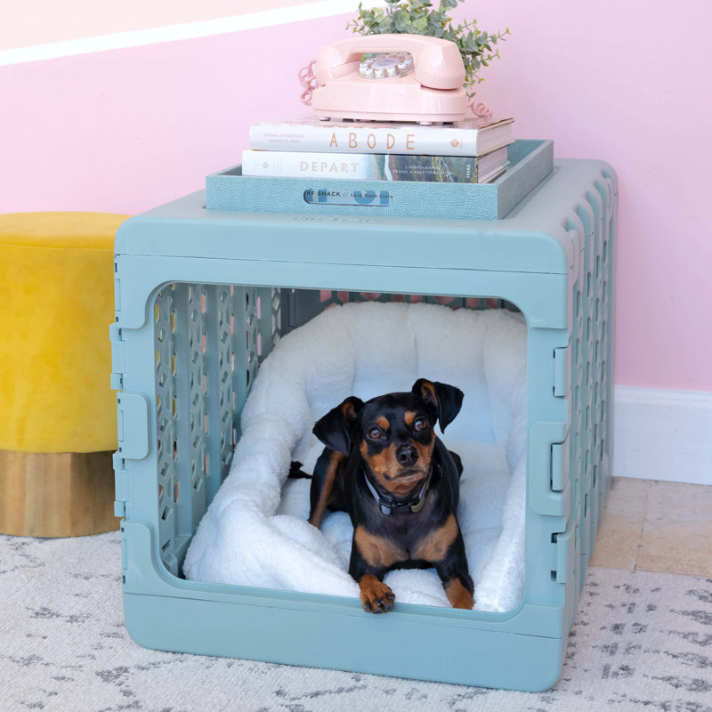 PAWD® | Modern Dog & Pet Crate - Caisse pliable pour chiens, Petit (H 16 po x l 16 po x L 21 po), Bleu