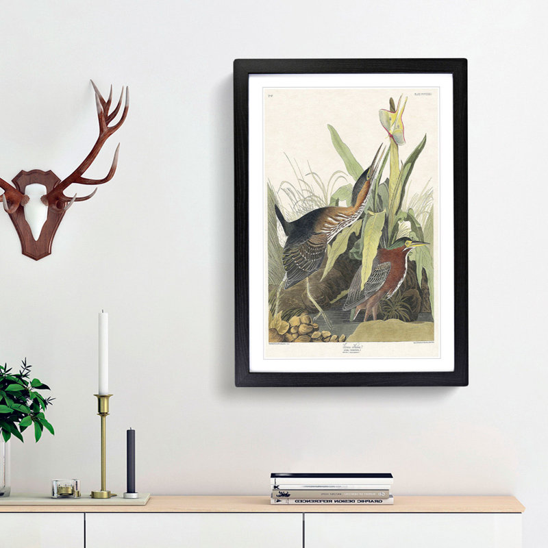 Green Heron by John Audubon - Picture Frame Painting Print on MDF, Black Framed, 65cm H x 48cm W x 2cm D