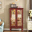 Vitrine avec 2 portes en verre trempé, tablettes réglables et éclairage DEL-61738111