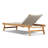 Neecy Outdoor Teak Wood Chaise Lounge-88234818