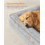 Pet Bed-1194773551