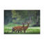 No Frame Print on Canvas