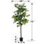 Ficus artificiel 72 po en pot