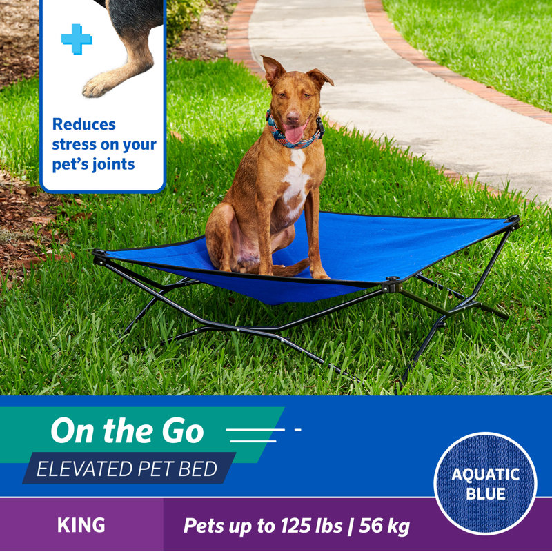 Lit pour animal de compagnie, H 11,5 po x l 41 po x P 41 po, Bleu aquatique