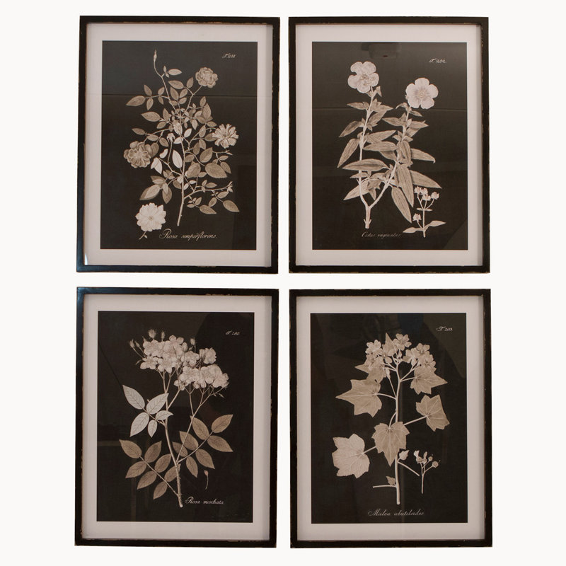 Lechiaro 4 Piece Single Picture Frame Print