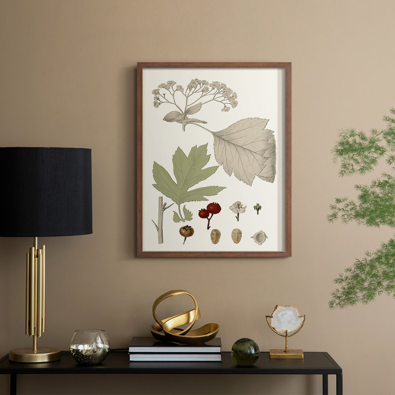 Feuilles et baies II, reproduction encadrée - bois massif, Noyer, H 30 po x l 24 po