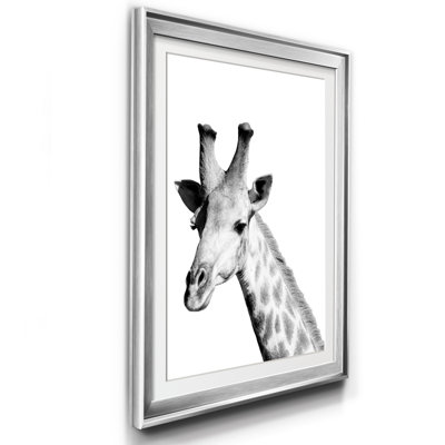 " Safari Giraffe "