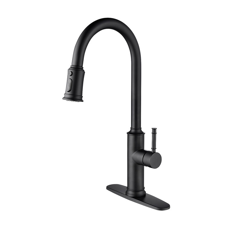 Kitchen Faucet With Pull Out Sprayer, Matte Black