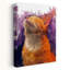 «Blissful Orange Cat», art abstrait coloré, chat rêveur-129149469