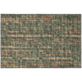 Chenille Abstract Indoor / Outdoor Rug