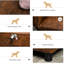 Canapé pour chien, en cuir synthétique pliable brun pour chiens de taille moyenne et grande, avec un lit confortable et confortable pour animaux de compagnie, animaux, brun, support