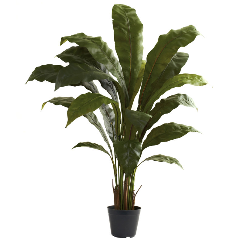 Charlack 36,75 po plante de sol en pot
