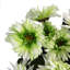 Plastic, Silk Artificial Arrangement in Pot-101685358