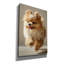  «Cute Fluffy Pomeranian 2» par Ann Klee, art mural sur toile, 12 po x 18 po-556928217