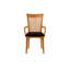 Sarah Upholstered Arm Chair-20804144-20804153