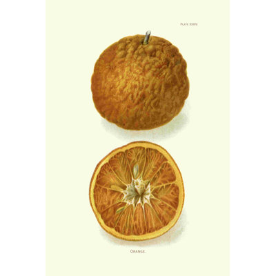 " Orange "