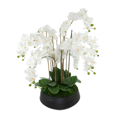 Orchid Centerpiece in Ceramic Pot