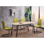 Lisette Solid Wood Base Dining Table