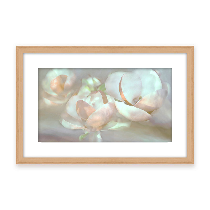 Nature Inspired Magnolia Dreams, 24" H x 30" W x 1.125" D, Framed Matted Print, White